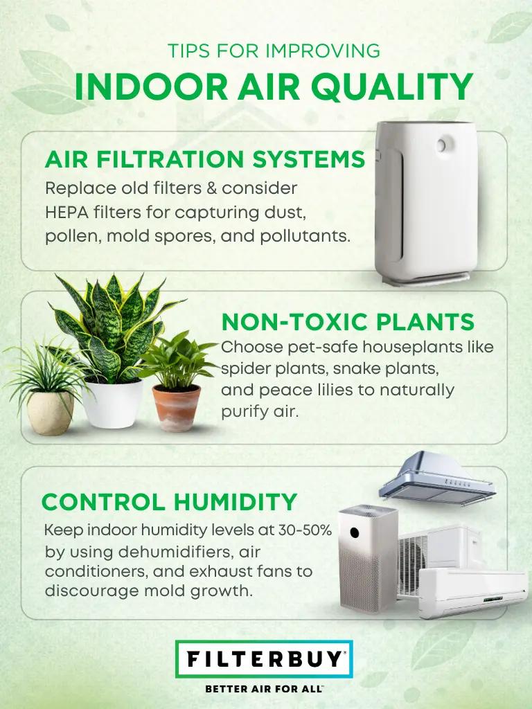 A view of tips for improving indoor air quality, featuring air filtration systems, HEPA filters, non-toxic houseplants, and humidity control for cleaner indoor air.